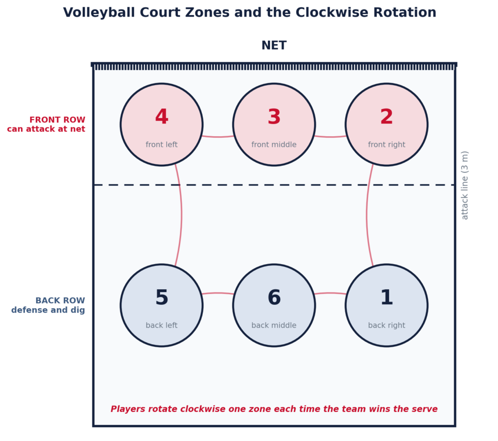 Volleyball Positions