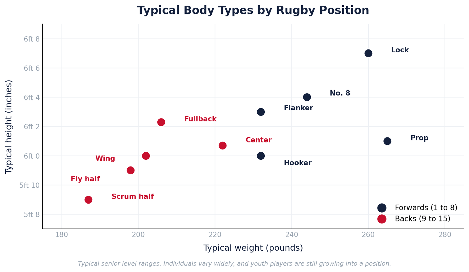 Rugby Positions Explained: All 15 Roles by Number