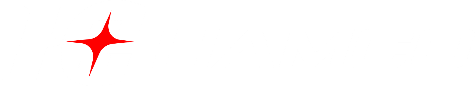 HAMCO Sports News & Updates Footer Logo